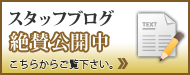 スタッフブログ